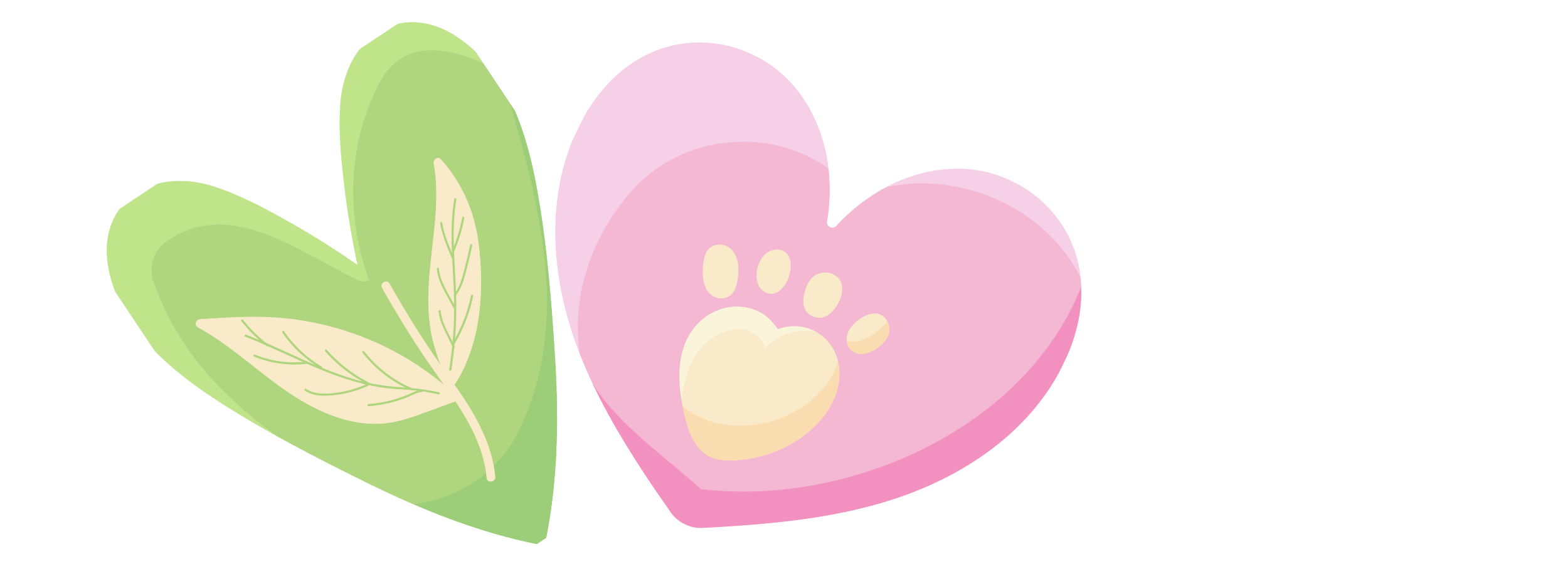 Image of heart with bunny foot symbolizing Ayurblooms' commitment to ethical practices while crafting essential oils