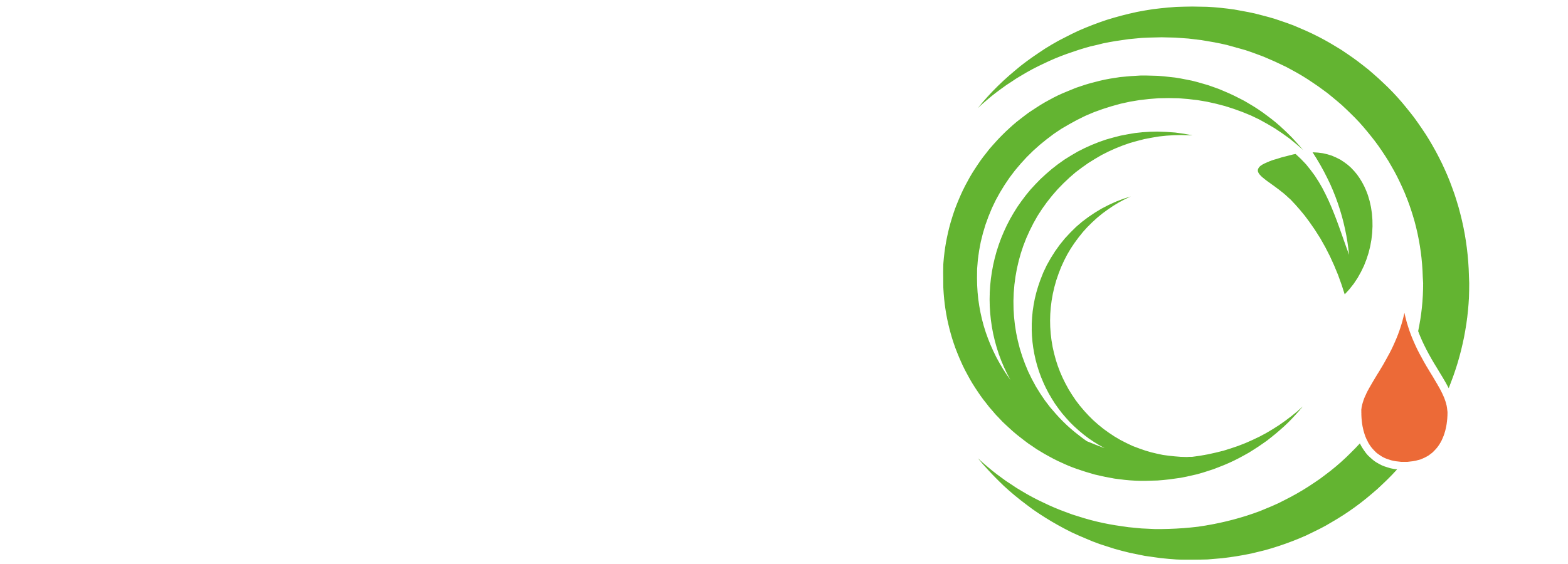 An abstract seasonal cycle image symbolizing Ayurblooms' respect for Earth's natural rhythms with sustainable, chemical-free products.