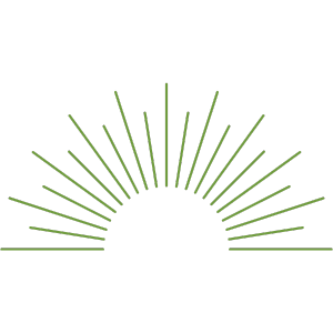 The holistic wellness benefits of Lemongrass essential oil's invigorating effects.