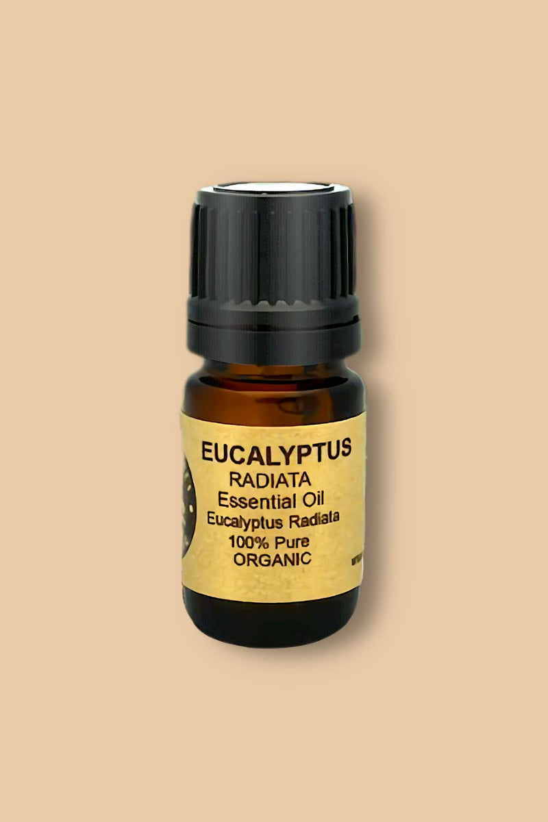 Eucalyptus Essential Oil - Organic